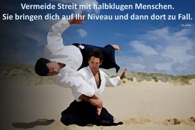 Vermeide Streit mit halbklugen Menschen